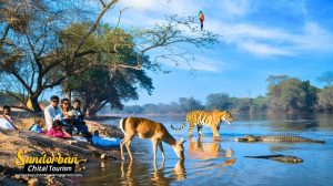 Sundarban Nature Photo