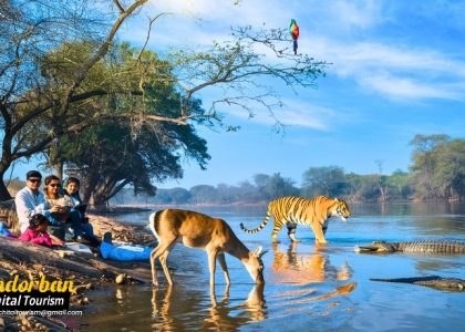 Sundarban Nature Photo