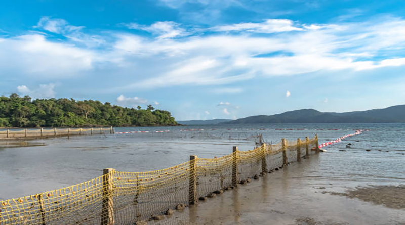 Landscape of Coastal region with clear blue sky at a Tropical island where on beach, fencing has done from nets and beach seines, for swimmers safety to protect them from crocodiles and shark attacks.
